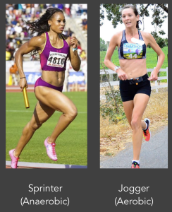 the Dynamics of Jogging and Sprinting