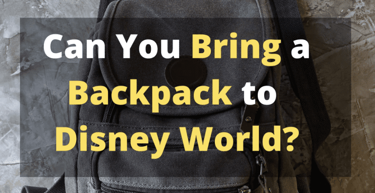 Can You Bring Backpacks into Disney World?