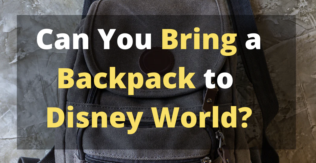Can You Bring Backpacks into Disney World
