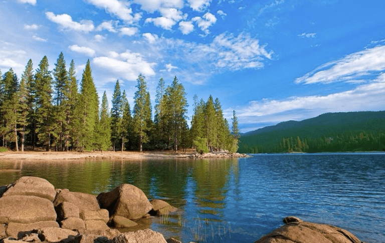 Discover the Charm: An Insider’s Guide to Bass Lake Camping