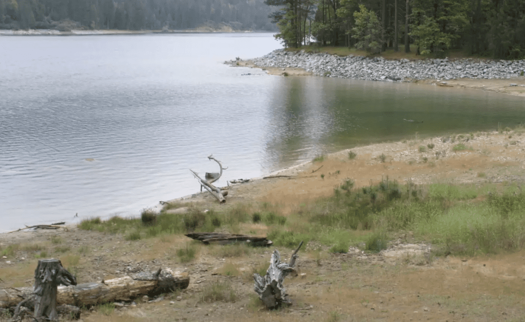 Campgrounds at Bass Lake